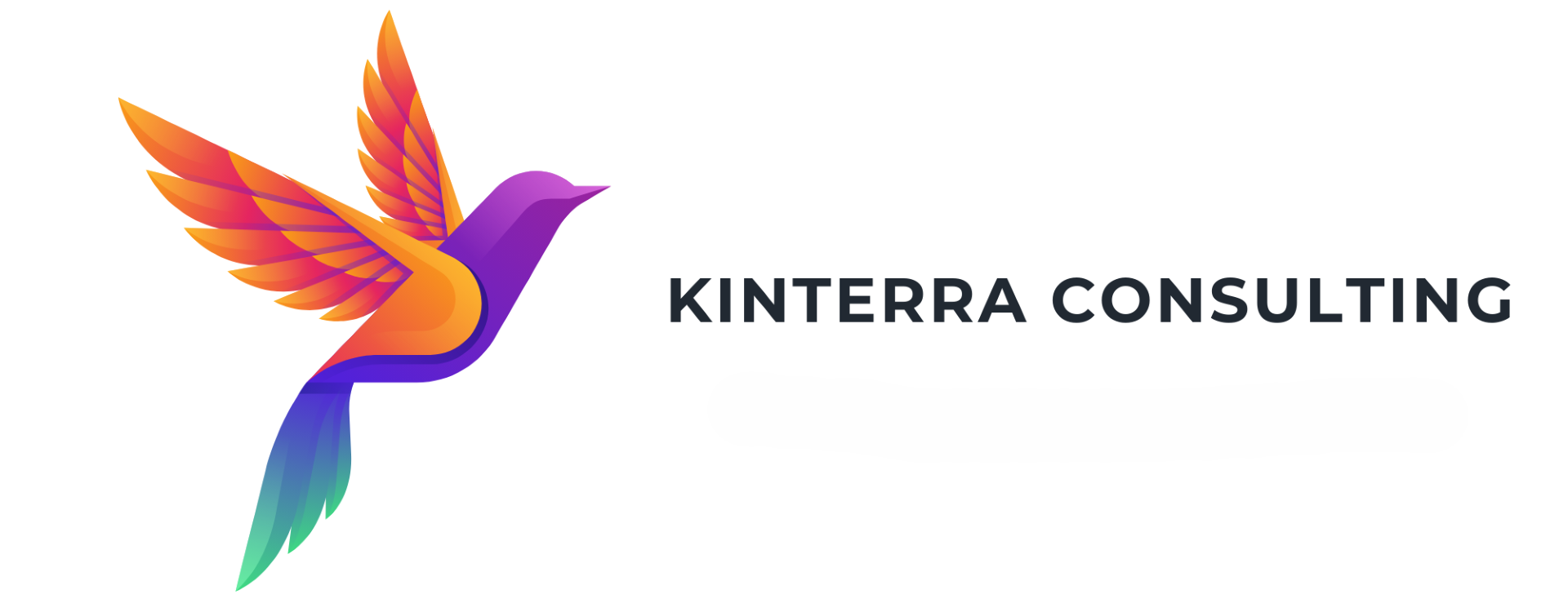 Kinterra Consulting hummingbird logo